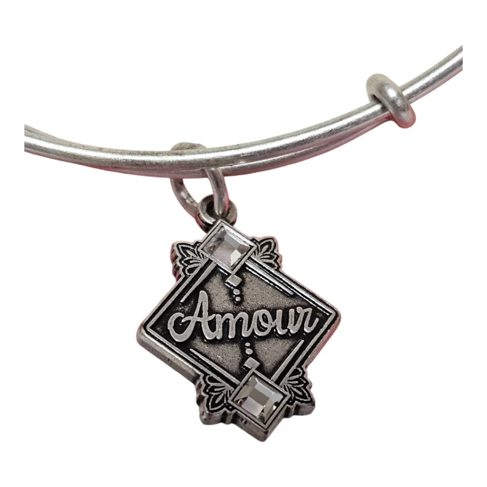 Alex and Ani Silver Amour Charm AdjustableBangle